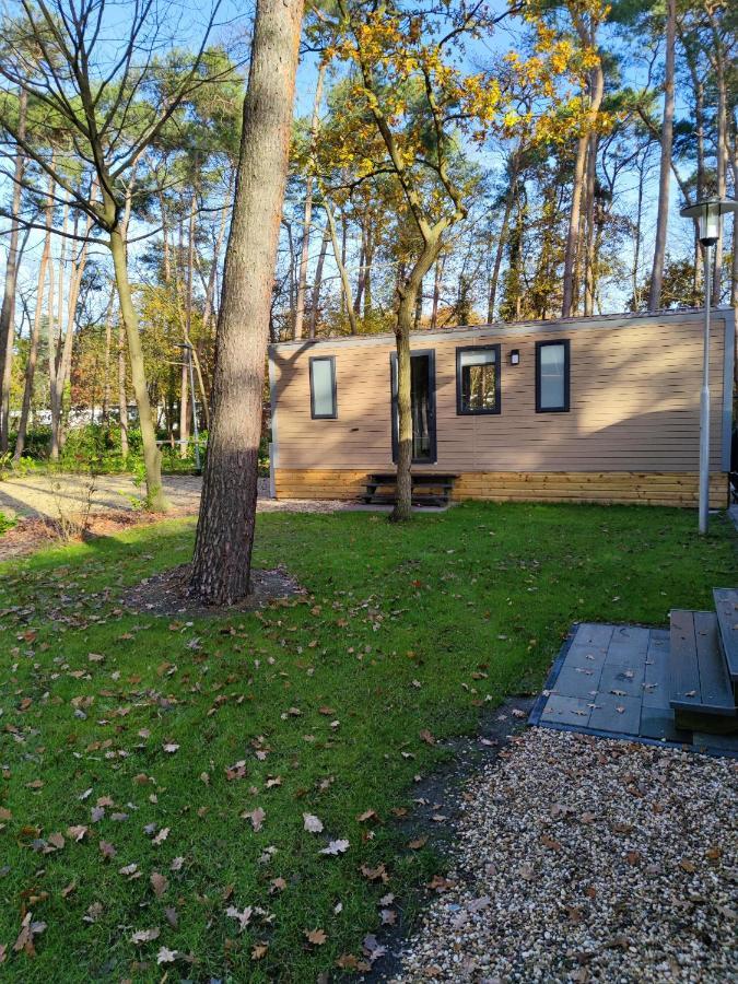 Schinveld Bospark De Brenkberg מראה חיצוני תמונה
