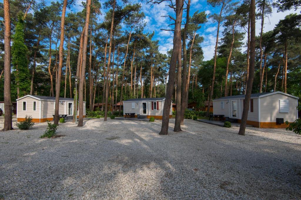 Schinveld Bospark De Brenkberg חדר תמונה